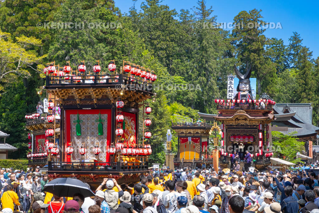 滋賀県　日野祭　本祭　今井町曳山（舞鶴社）宮入