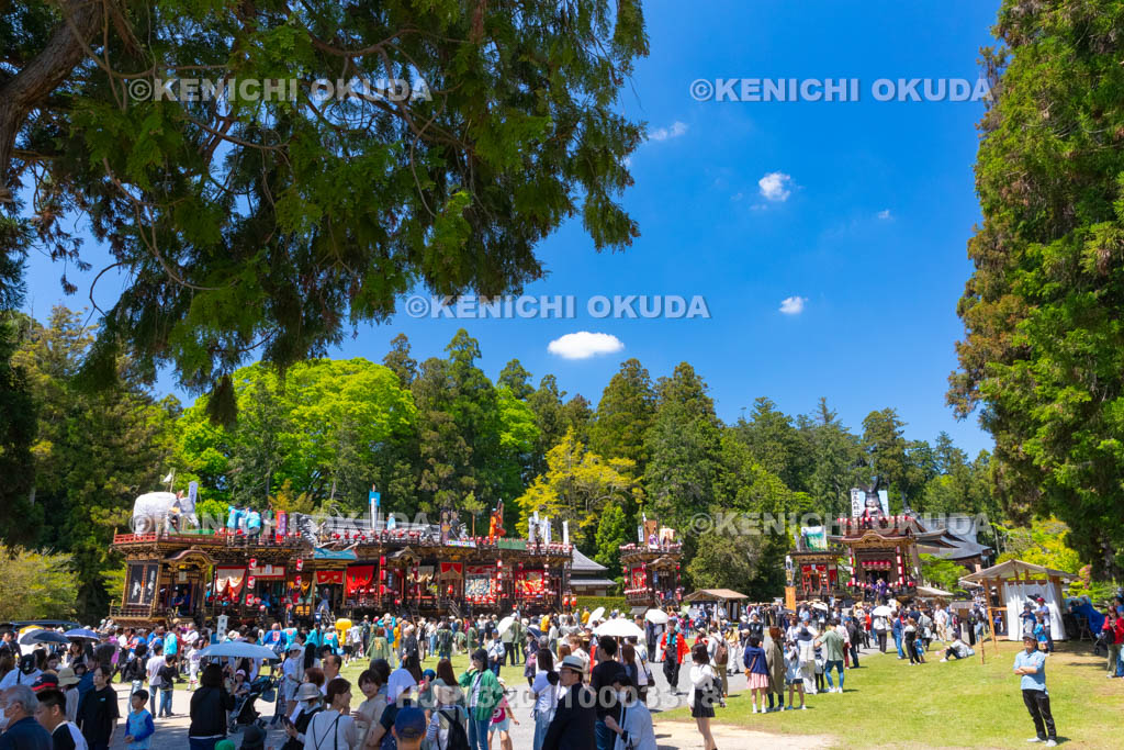 滋賀県　日野祭　本祭　境内の曳山