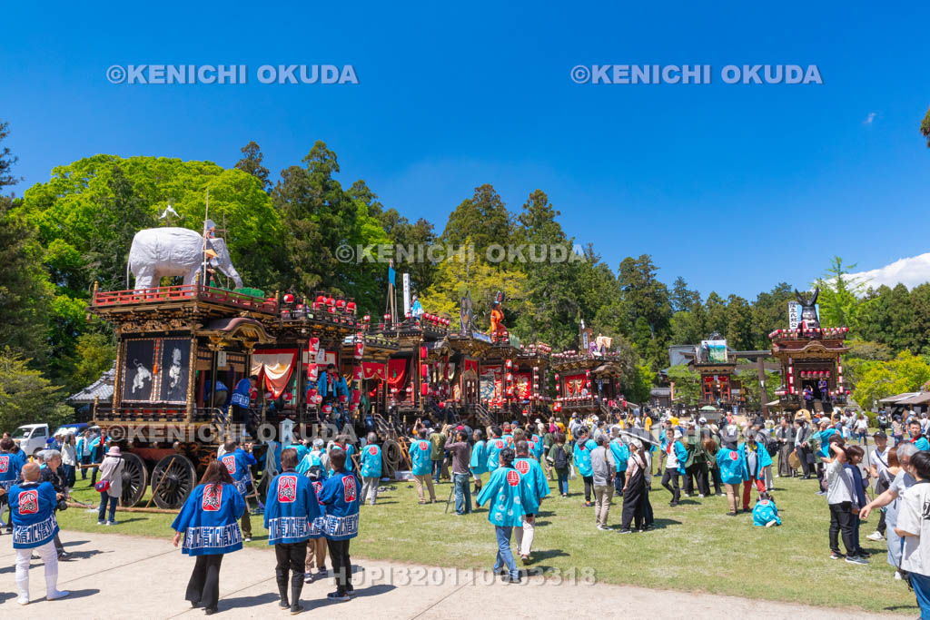 滋賀県　日野祭　本祭　境内の曳山