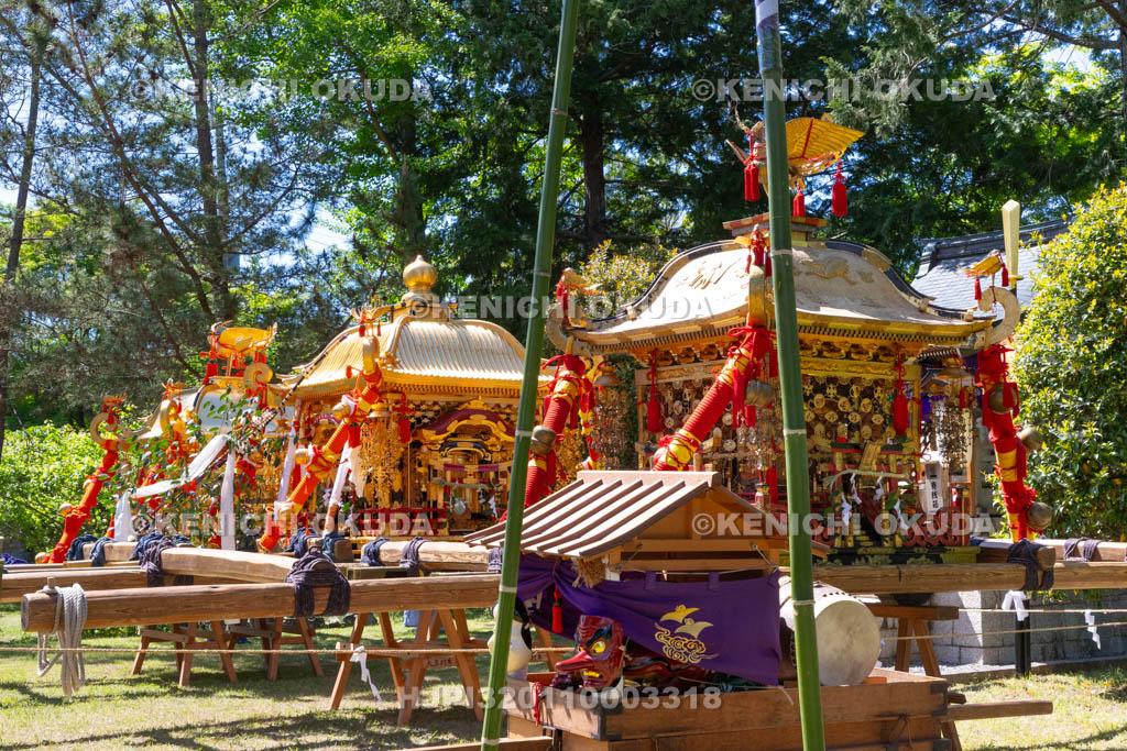 滋賀県　日野祭　本祭　ひばり野（御旅所）に奉安された神輿