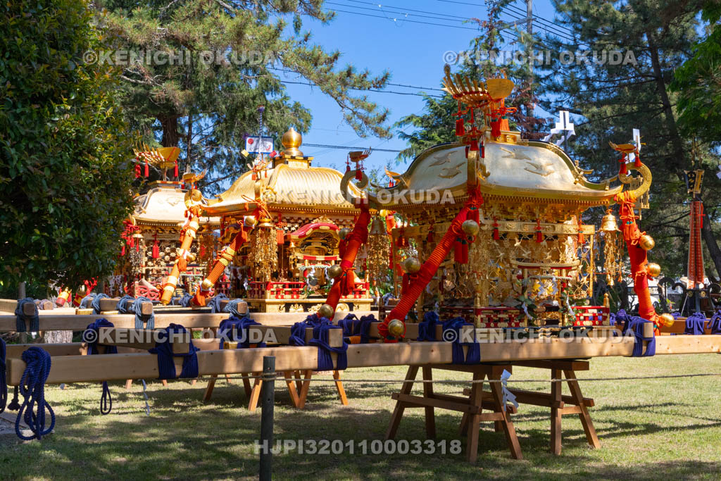滋賀県　日野祭　本祭　ひばり野（御旅所）に奉安された神輿