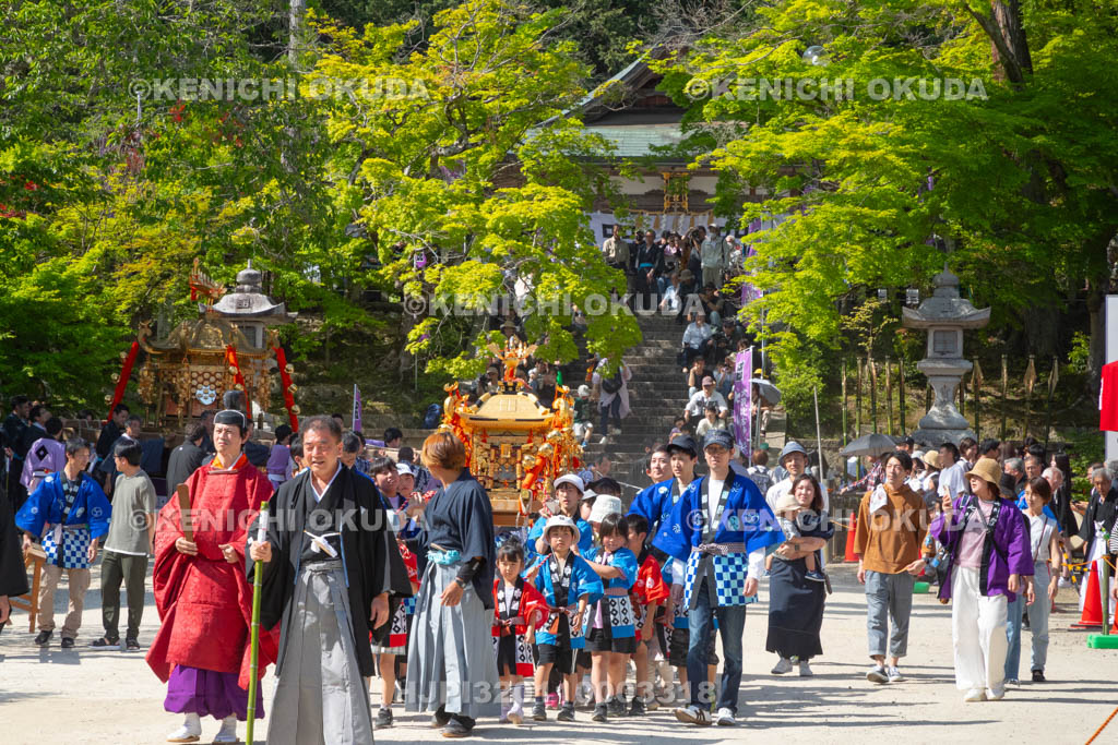 滋賀県　大荒比古神社　七川祭　神輿渡御