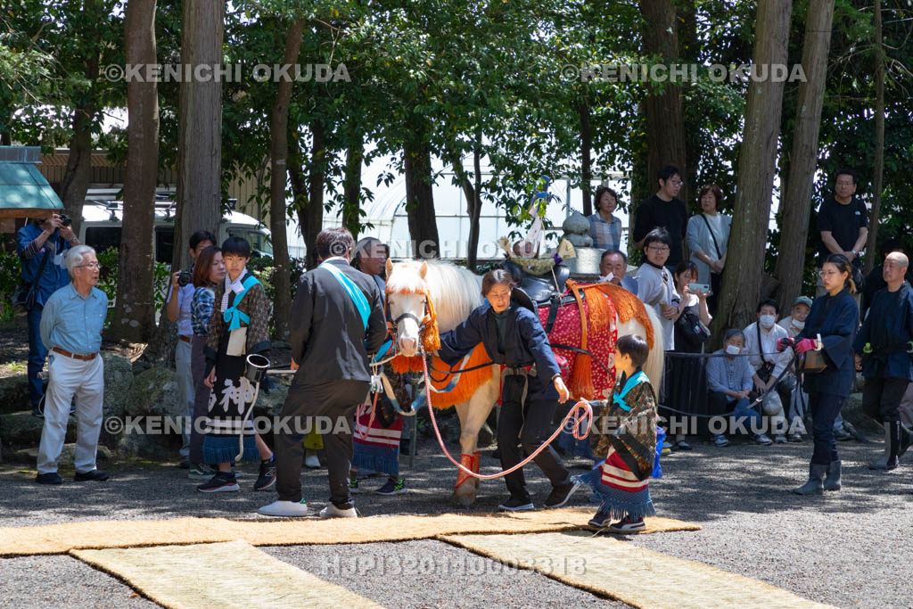 滋賀県　下新川神社　すし切り祭り　鮒鮓切り神事　神馬