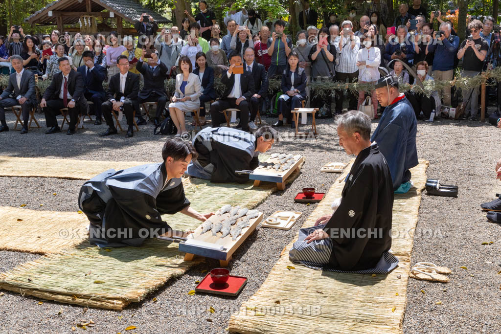 滋賀県　下新川神社　すし切り祭り　鮒鮓切り神事
