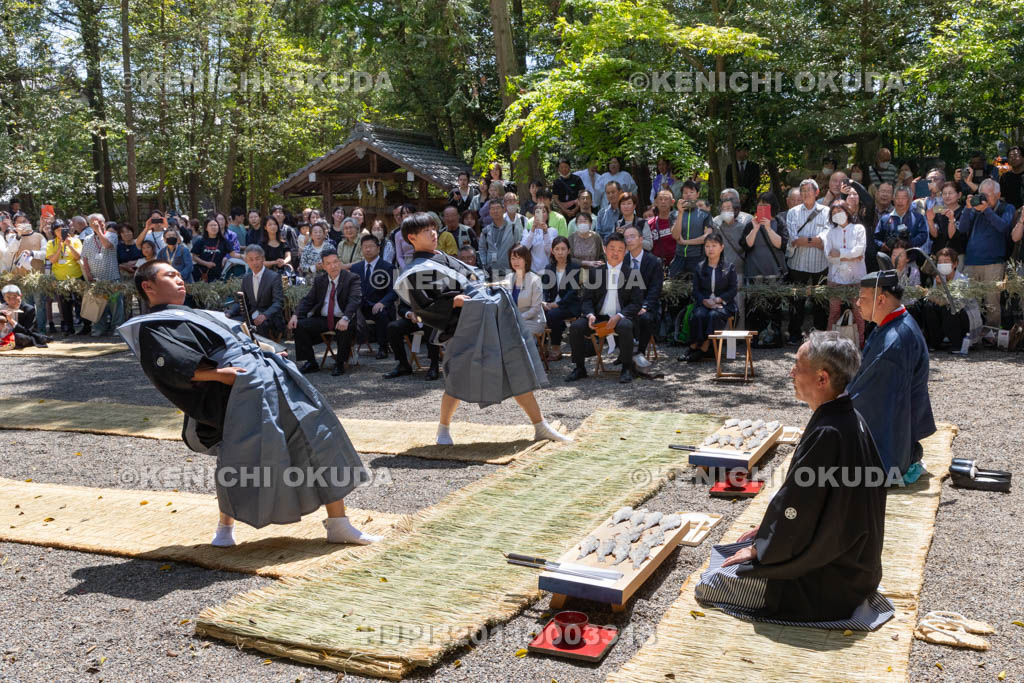 滋賀県　下新川神社　すし切り祭り　鮒鮓切り神事