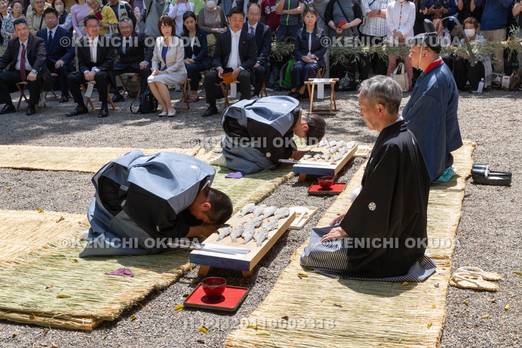 滋賀県　下新川神社　すし切り祭り　鮒鮓切り神事