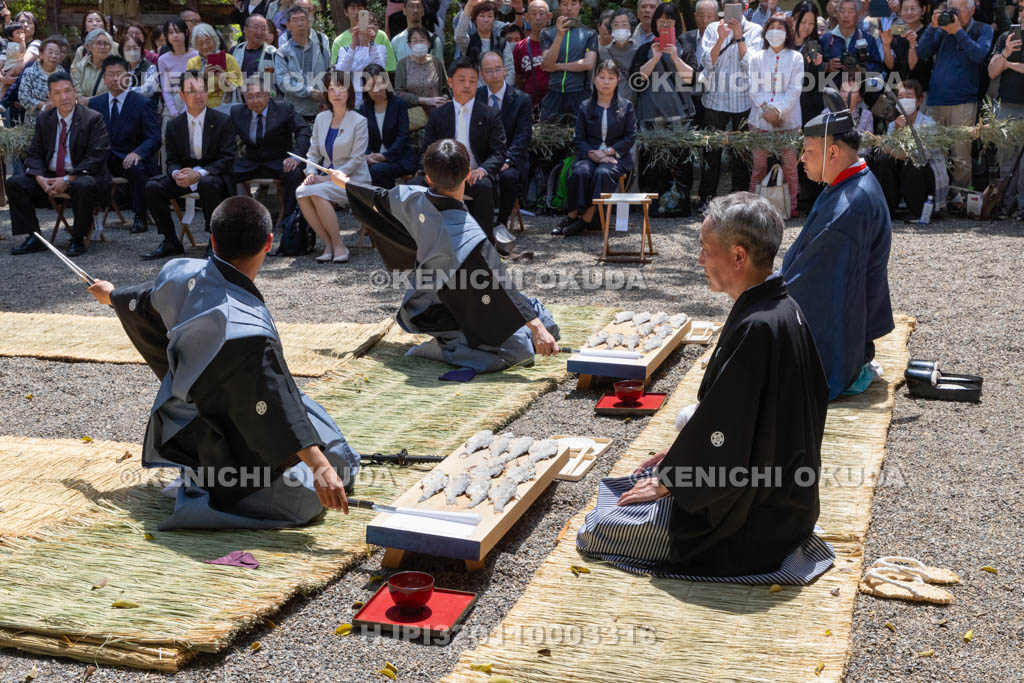 滋賀県　下新川神社　すし切り祭り　鮒鮓切り神事