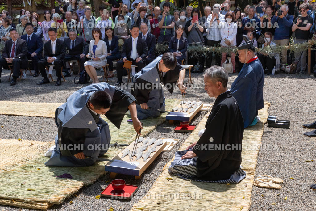 滋賀県　下新川神社　すし切り祭り　鮒鮓切り神事