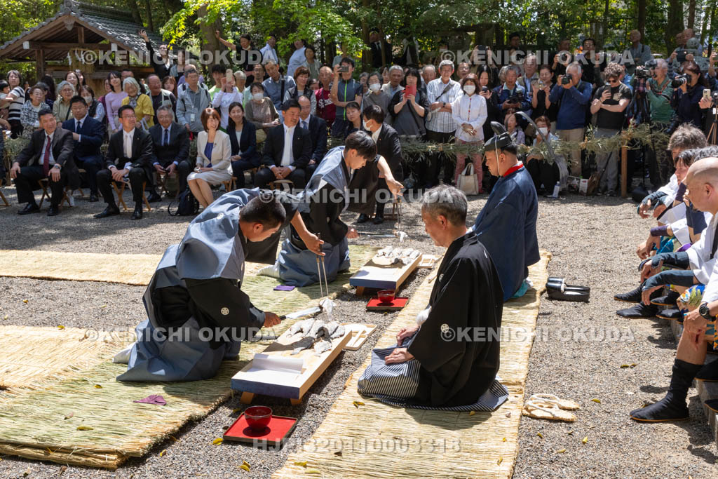 滋賀県　下新川神社　すし切り祭り　鮒鮓切り神事