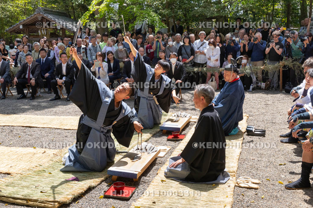 滋賀県　下新川神社　すし切り祭り　鮒鮓切り神事