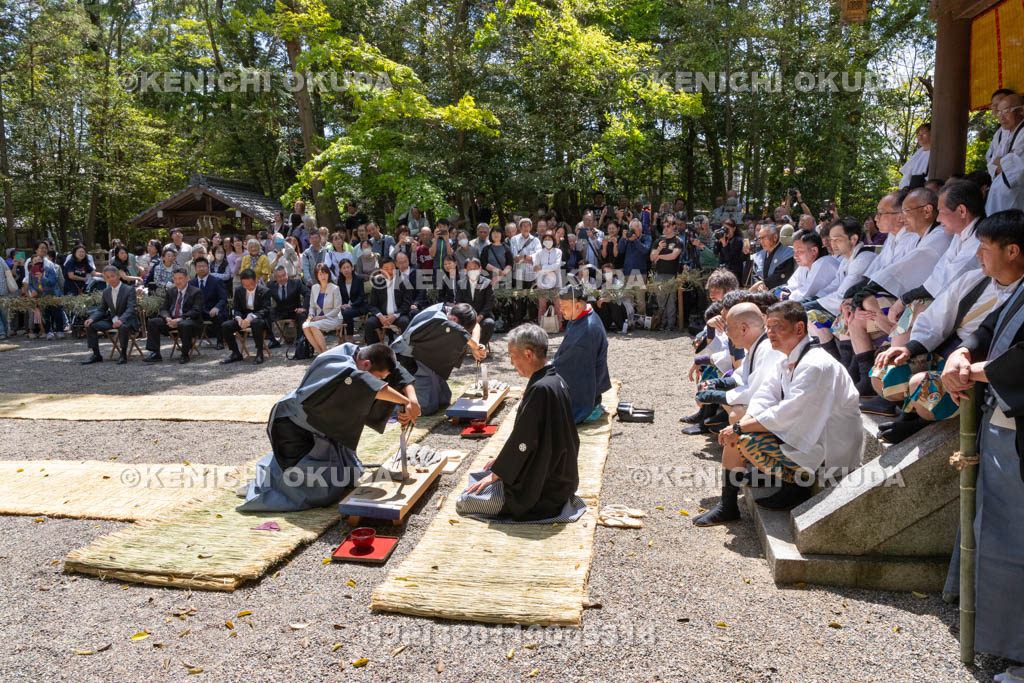 滋賀県　下新川神社　すし切り祭り　鮒鮓切り神事