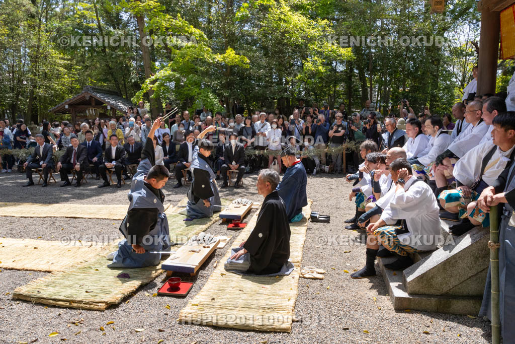 滋賀県　下新川神社　すし切り祭り　鮒鮓切り神事