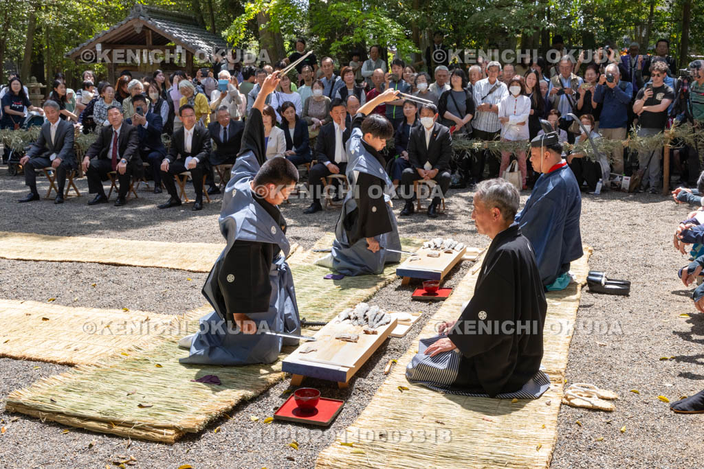 滋賀県　下新川神社　すし切り祭り　鮒鮓切り神事