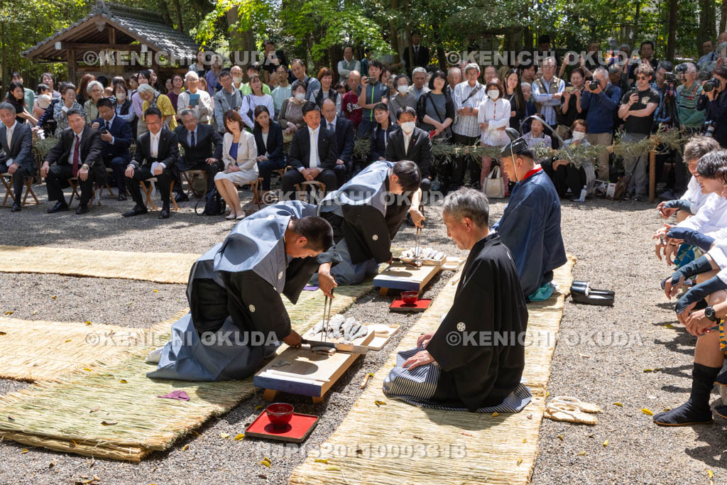 滋賀県　下新川神社　すし切り祭り　鮒鮓切り神事