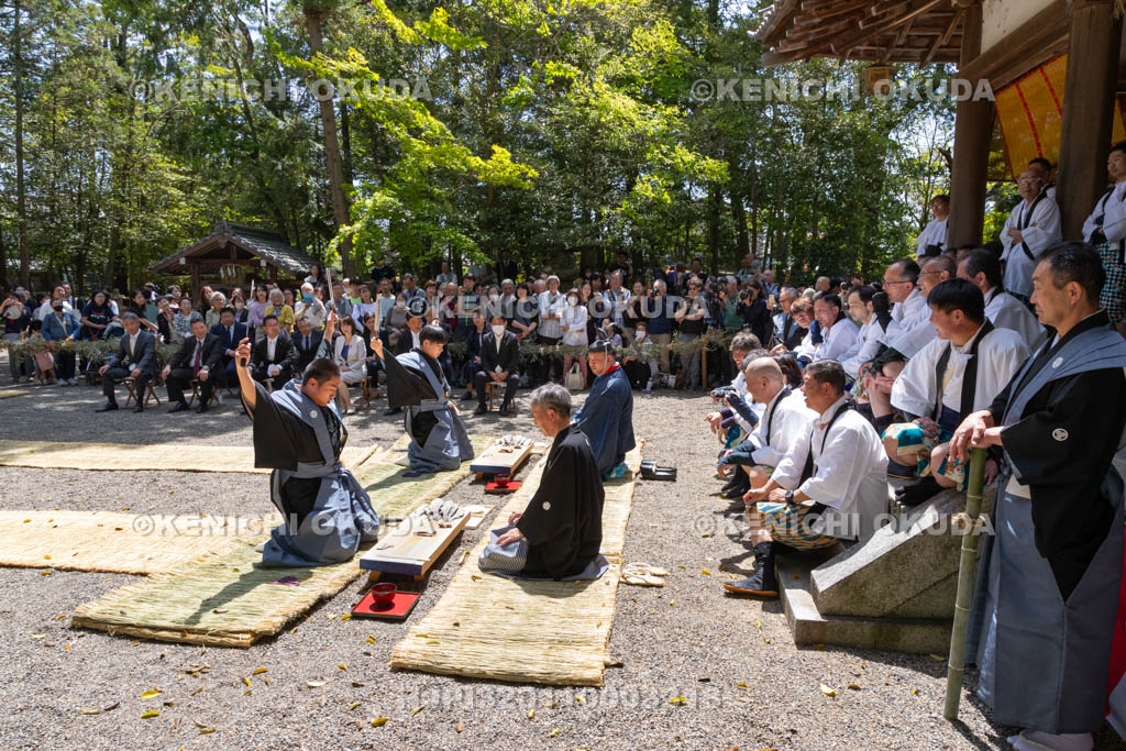 滋賀県　下新川神社　すし切り祭り　鮒鮓切り神事