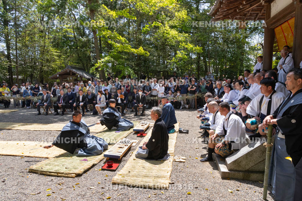 滋賀県　下新川神社　すし切り祭り　鮒鮓切り神事