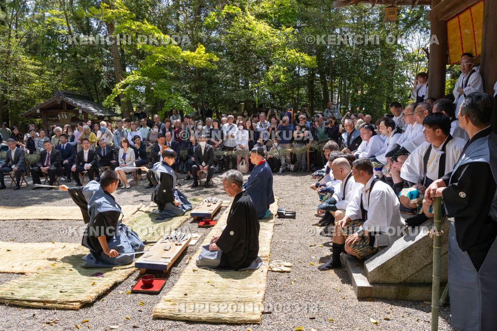 滋賀県　下新川神社　すし切り祭り　鮒鮓切り神事