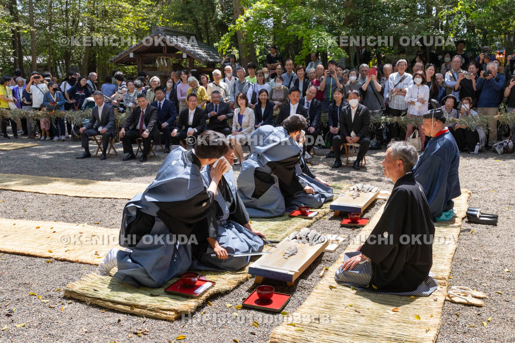 滋賀県　下新川神社　すし切り祭り　鮒鮓切り神事