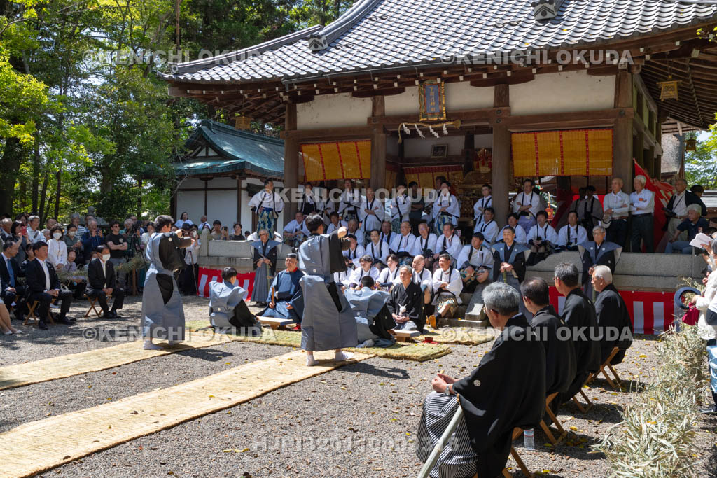 滋賀県　下新川神社　すし切り祭り　鮒鮓切り神事
