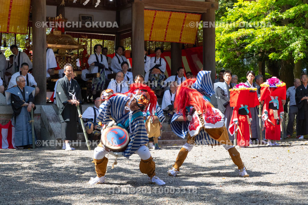 滋賀県　下新川神社　すし切り祭り　かんこの舞