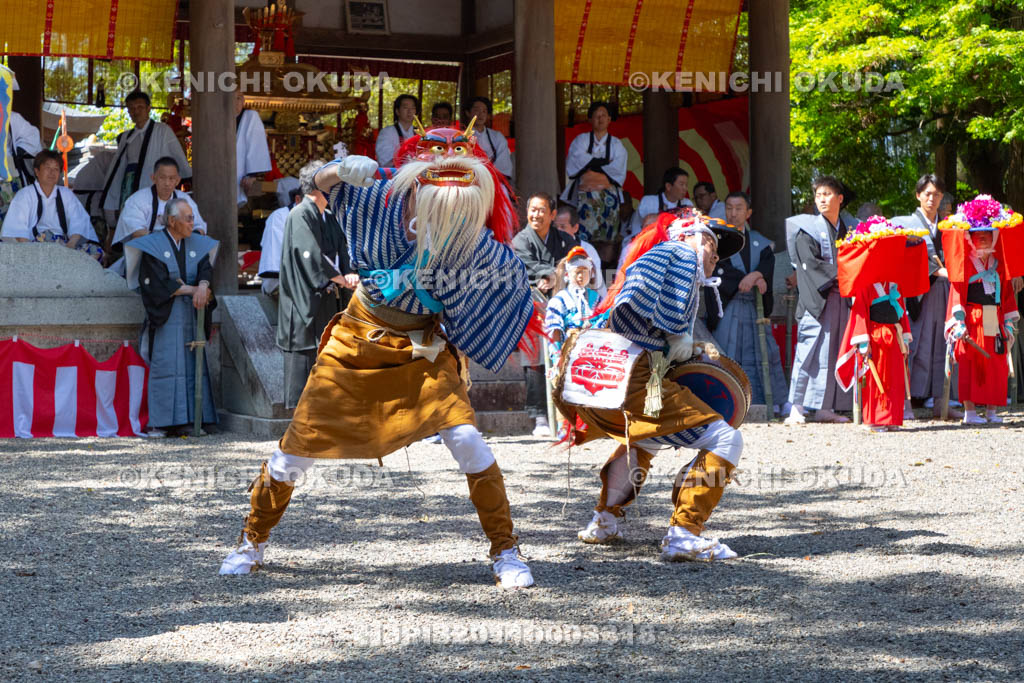 滋賀県　下新川神社　すし切り祭り　かんこの舞