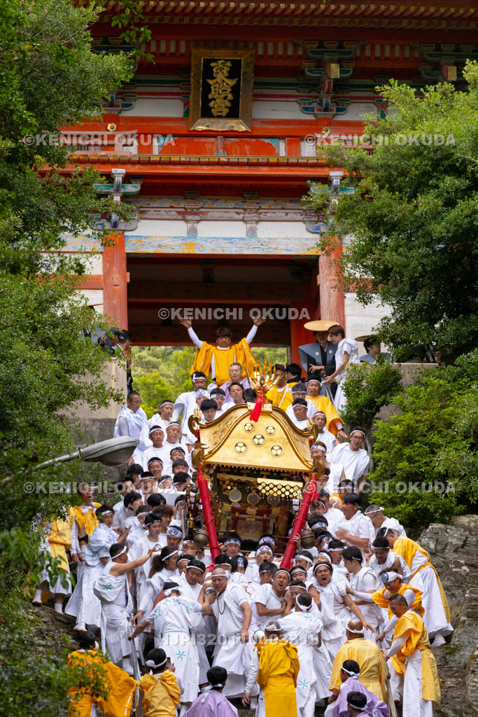 和歌山県　紀州東照宮　和歌祭　神輿おろし