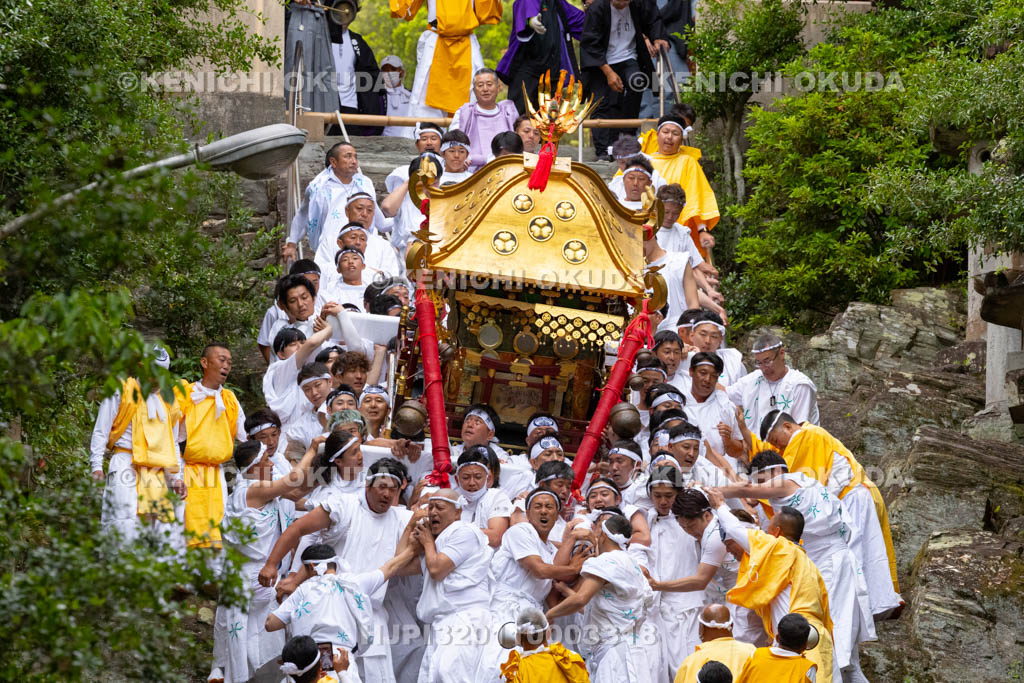 和歌山県　紀州東照宮　和歌祭　神輿おろし