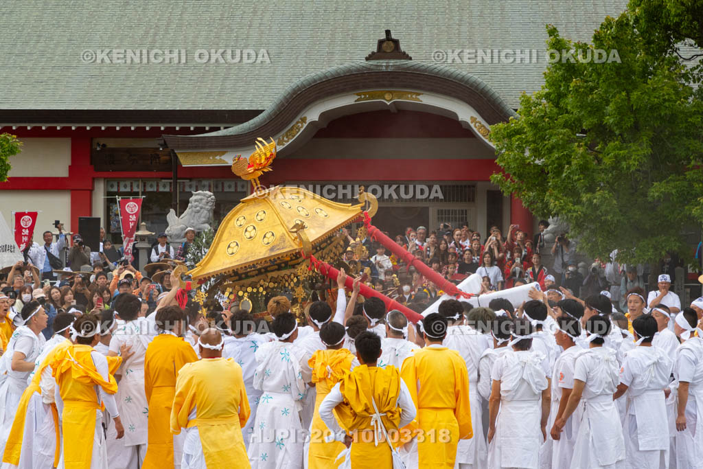 和歌山県　紀州東照宮　和歌祭　神輿渡御