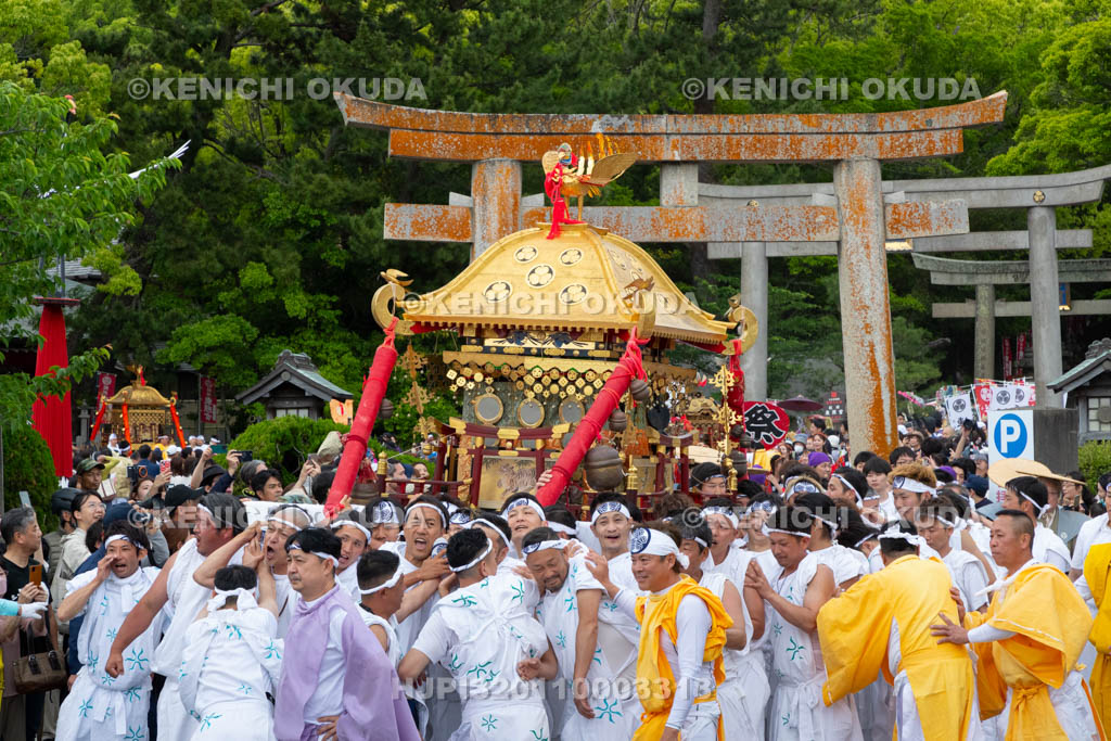 和歌山県　紀州東照宮　和歌祭　神輿渡御