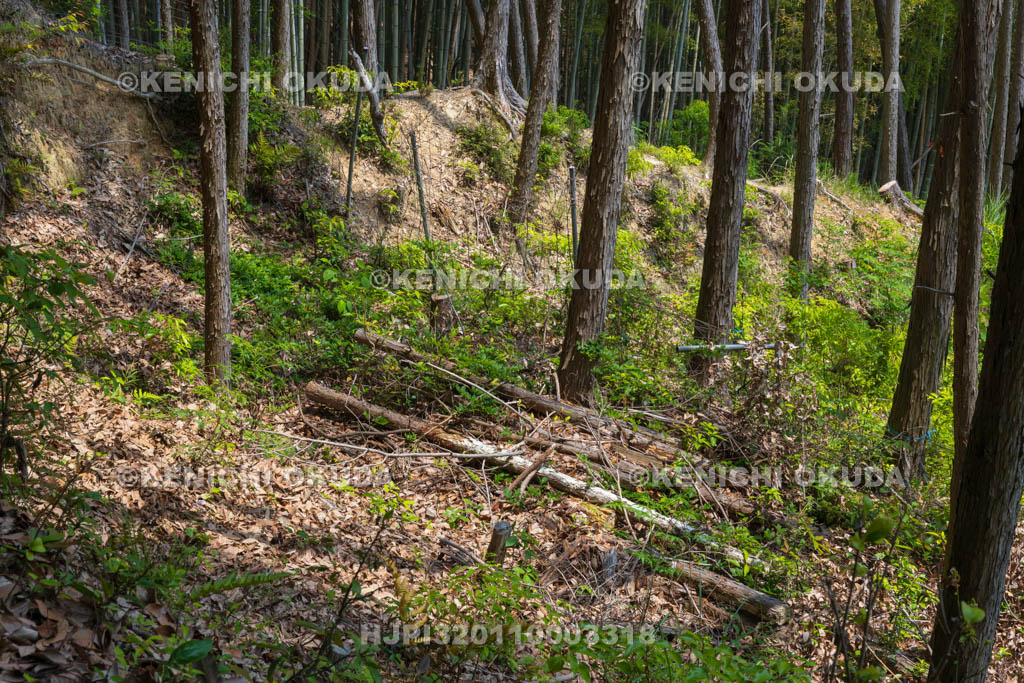 大阪府　芥川山城跡　竪土塁