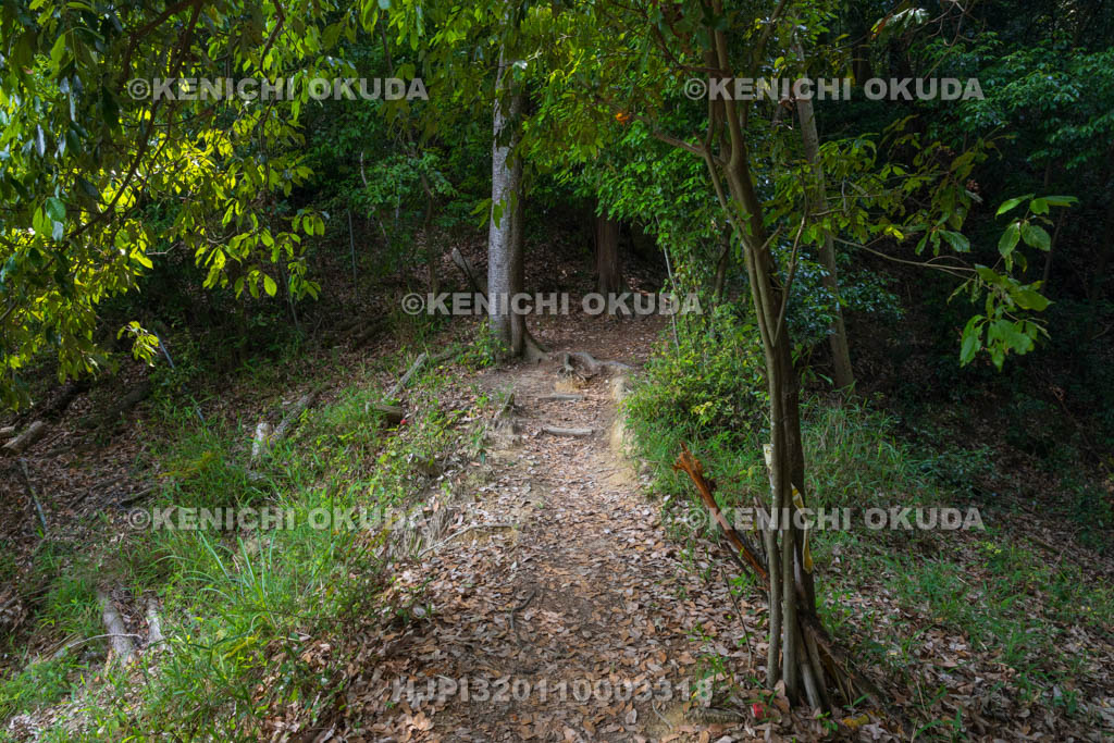 大阪府　芥川山城跡　土橋