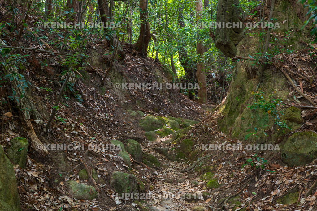 大阪府　芥川山城跡　堀切（土橋付近）