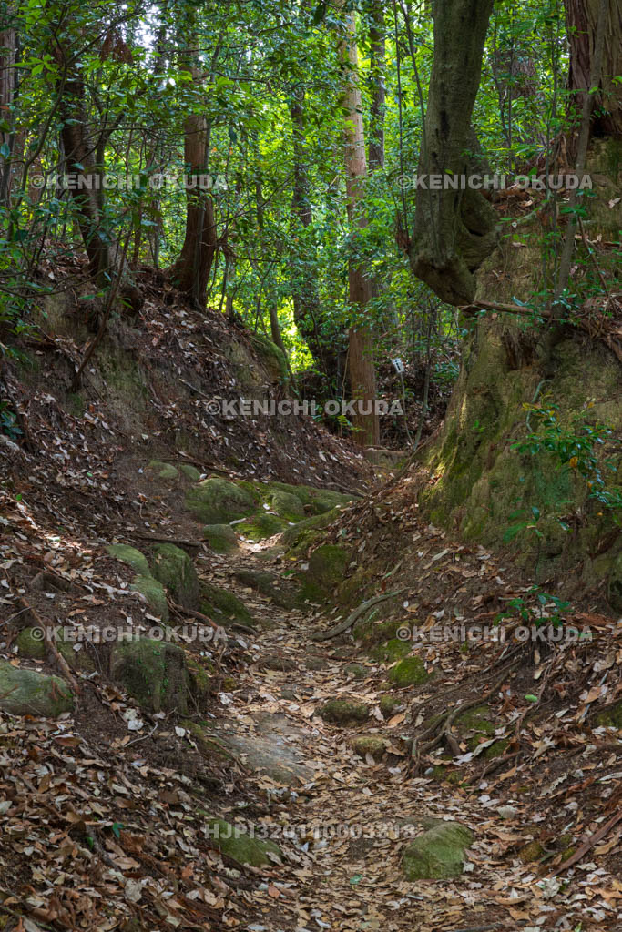 大阪府　芥川山城跡　堀切（土橋付近）