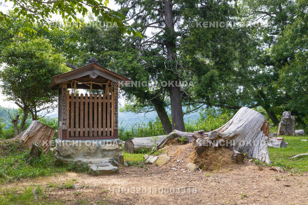 大阪府　芥川山城跡　主郭　三好長慶の祠