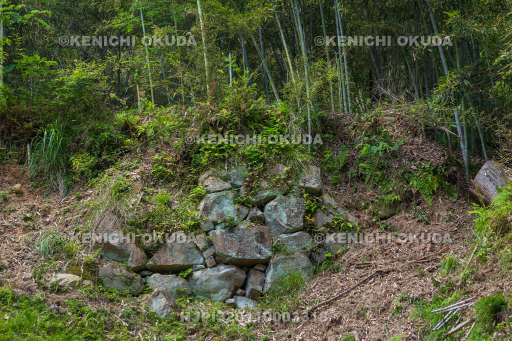 大阪府　芥川山城跡　大手石垣