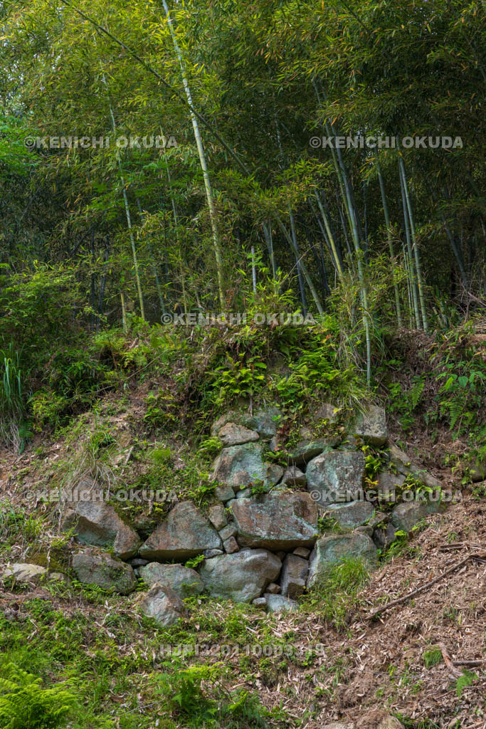 大阪府　芥川山城跡　大手石垣