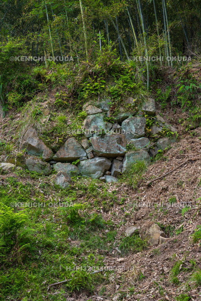大阪府　芥川山城跡　大手石垣