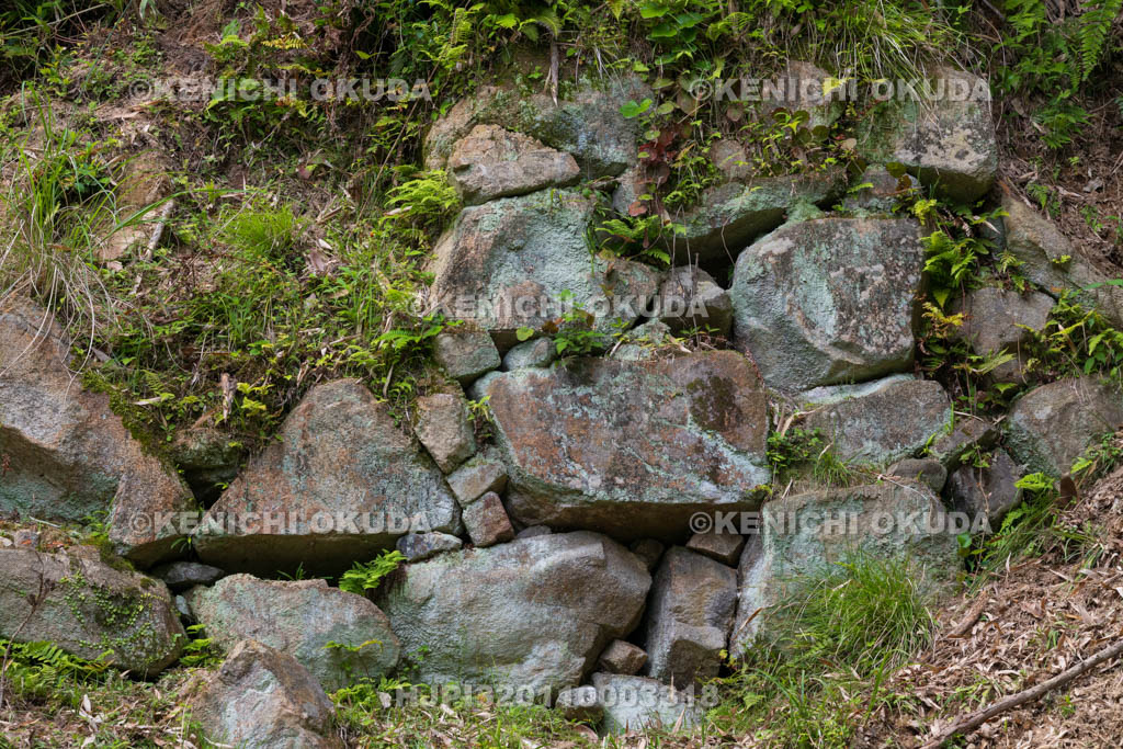 大阪府　芥川山城跡　大手石垣