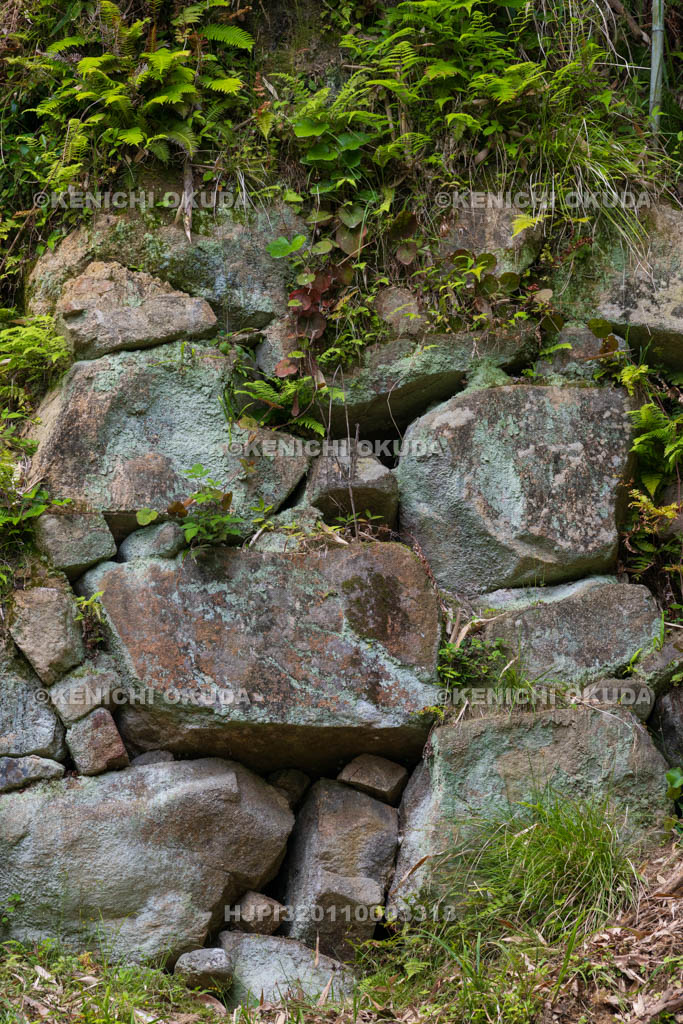 大阪府　芥川山城跡　大手石垣