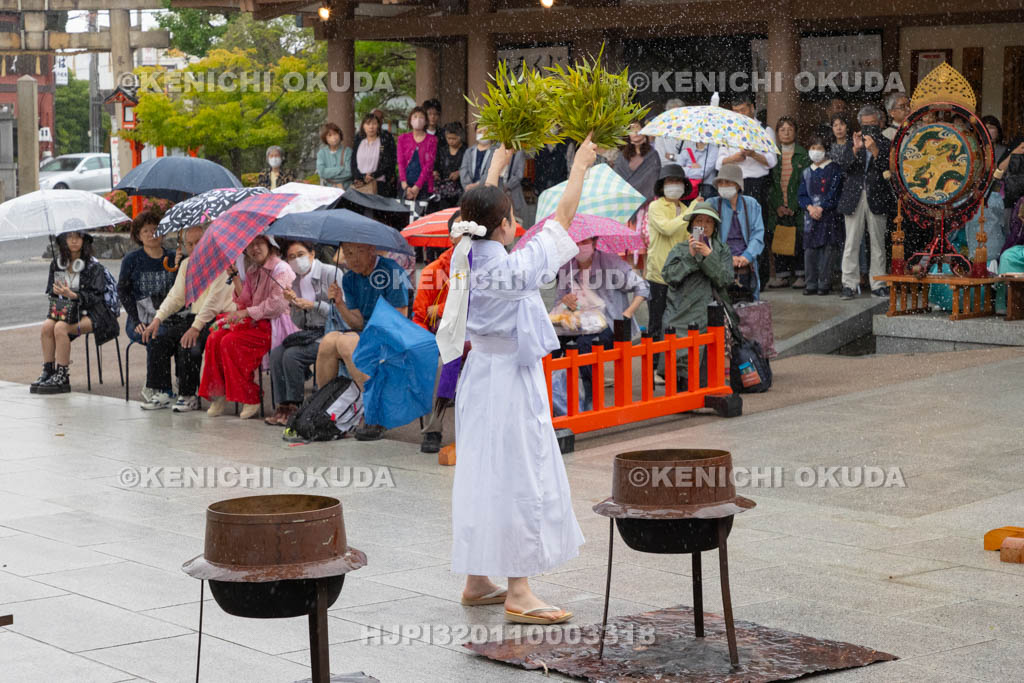 大阪府　方違神社　粽祭（例大祭）　湯神楽神事