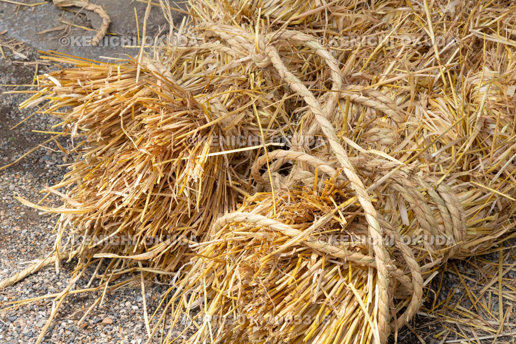 奈良県　今里の蛇巻き　蛇頭