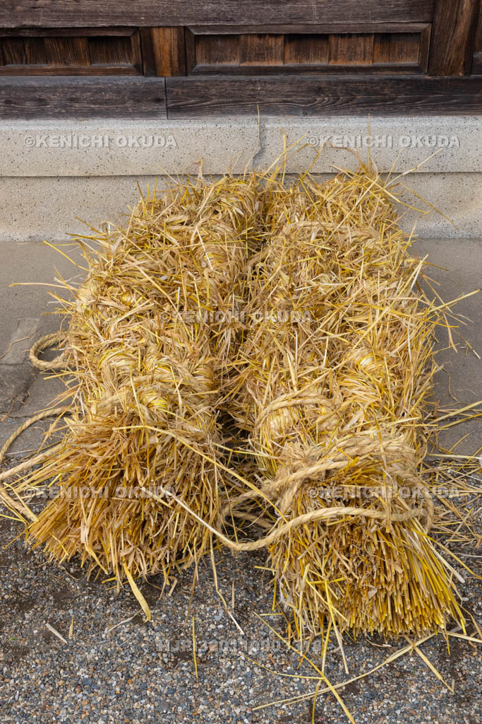 奈良県　今里の蛇巻き　蛇頭