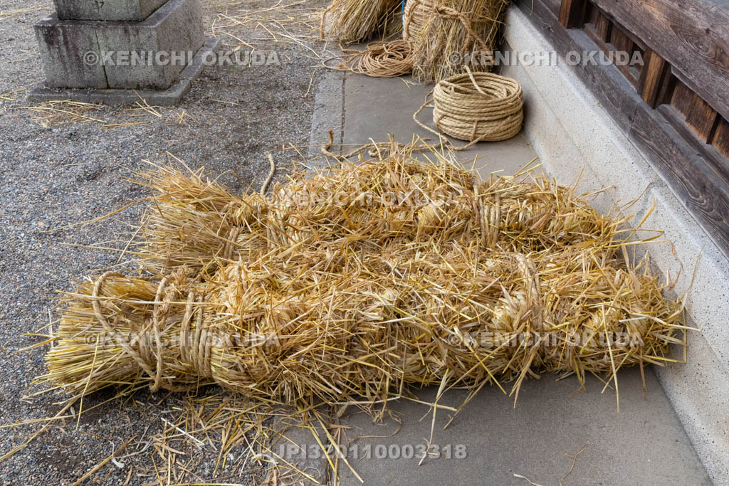奈良県　今里の蛇巻き　蛇頭