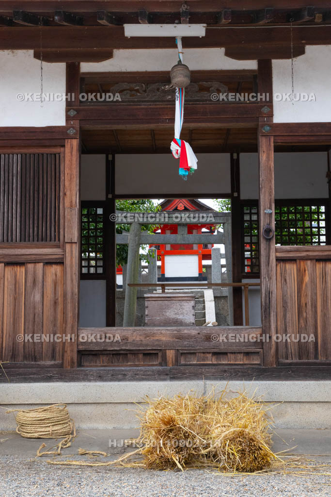 奈良県　今里の蛇巻き　蛇頭と社殿