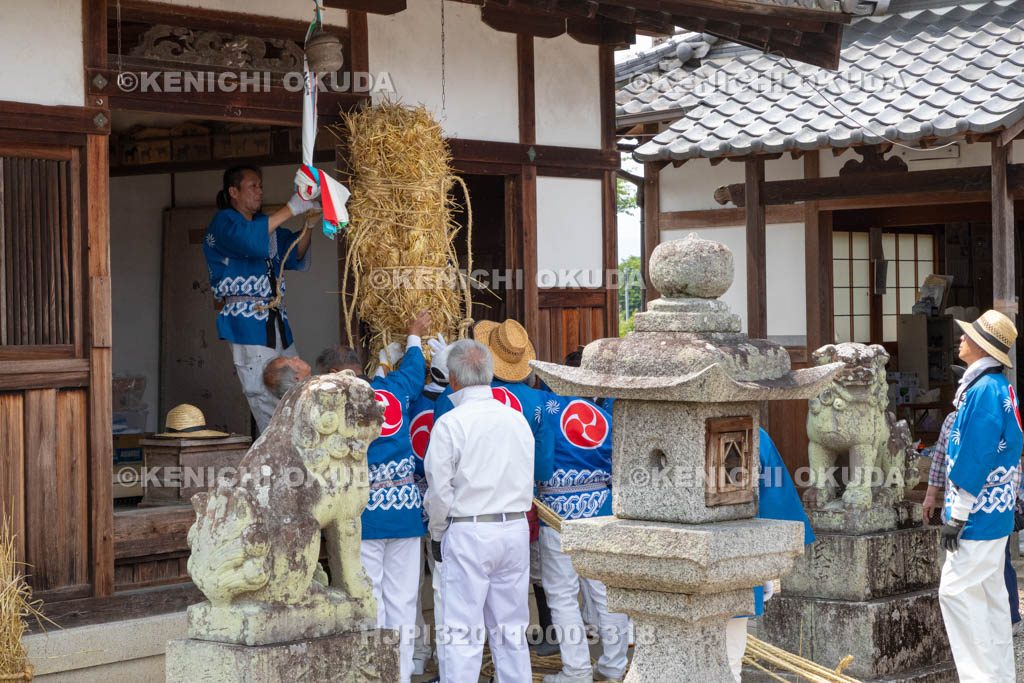 奈良県　今里の蛇巻き　蛇体作成