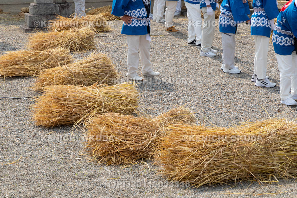奈良県　今里の蛇巻き　麦わら