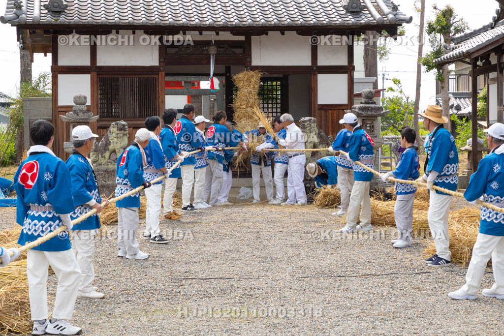奈良県　今里の蛇巻き　蛇体作成