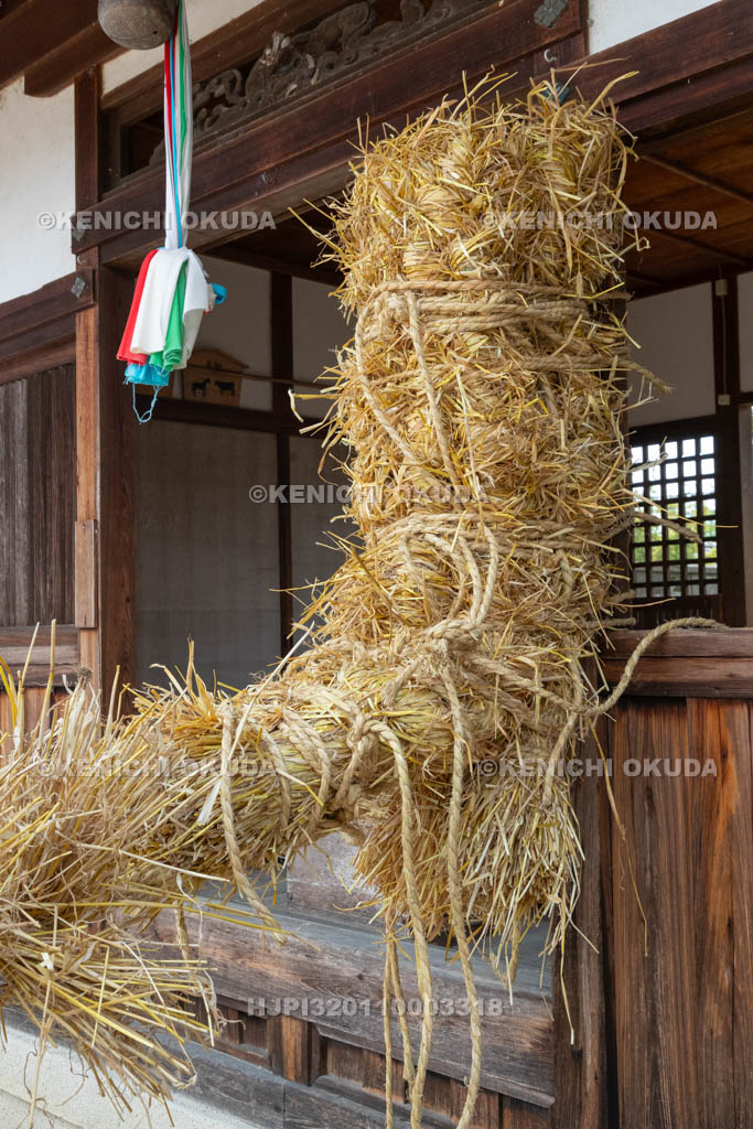 奈良県　今里の蛇巻き　蛇頭と社殿