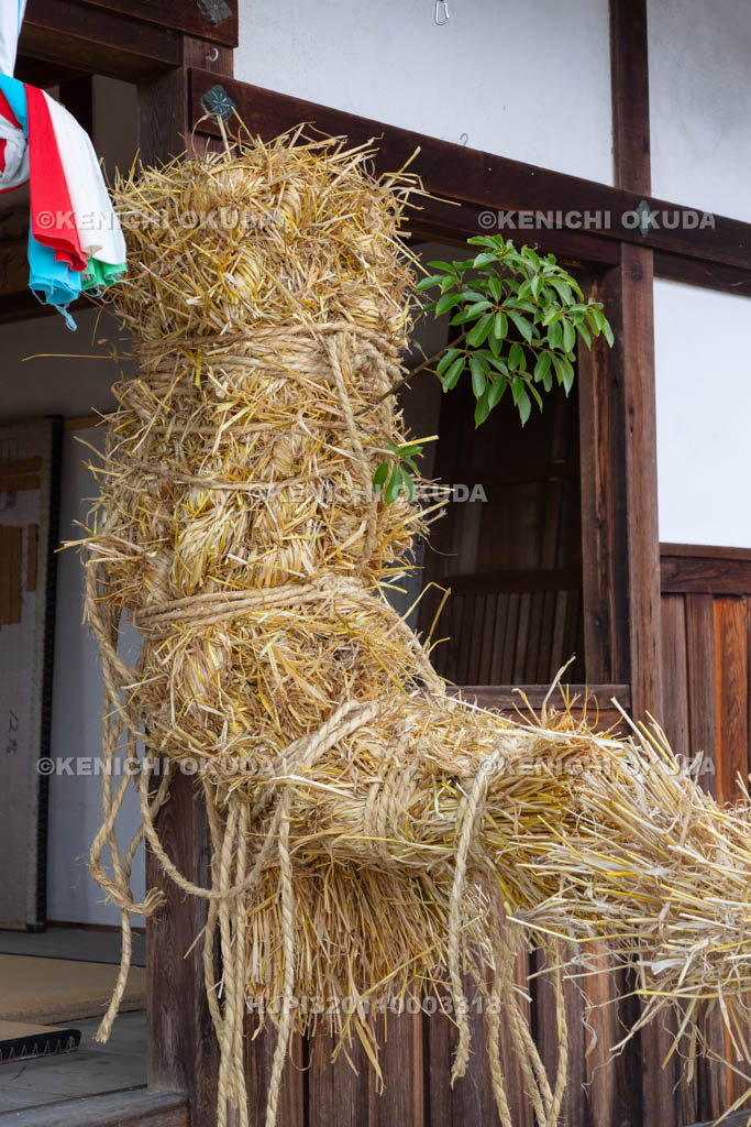 奈良県　今里の蛇巻き　蛇頭と社殿