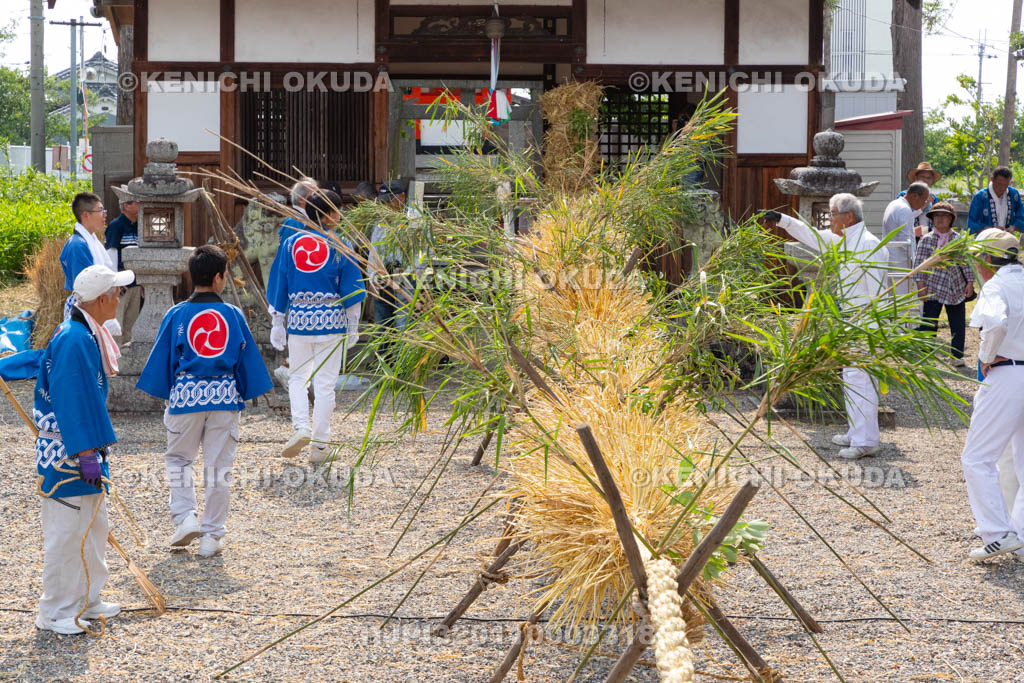 奈良県　今里の蛇巻き　完成した蛇体
